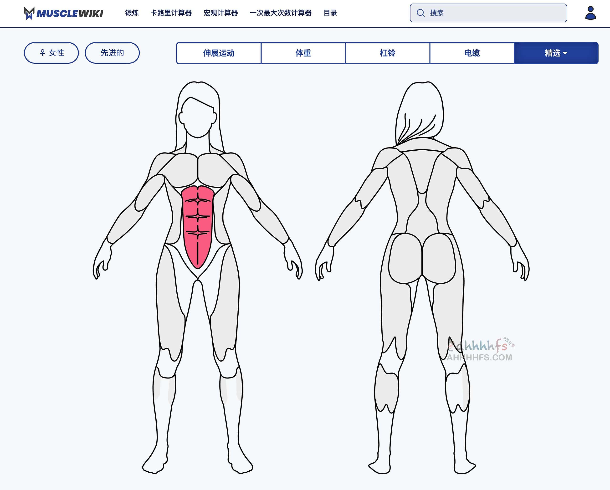 MuscleWiki-免费强大的健身工具 懒人必备